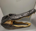 Head From 7 Foot Wild Louisiana Gator