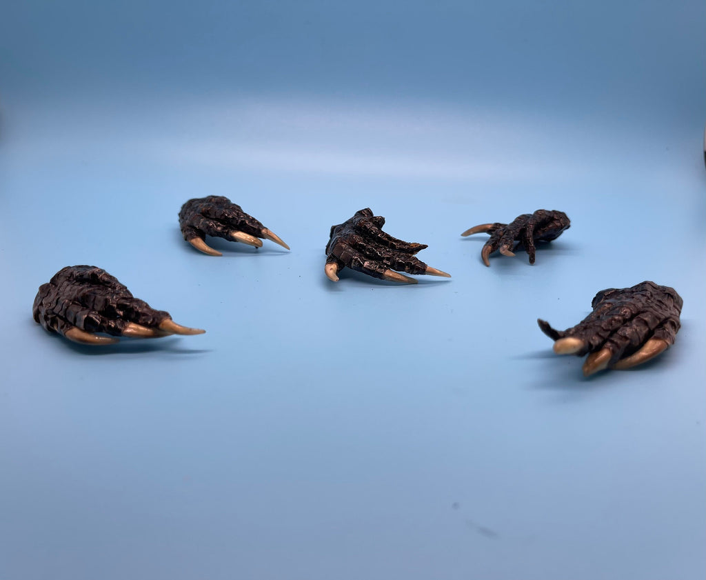 Five Small Alligator Feet