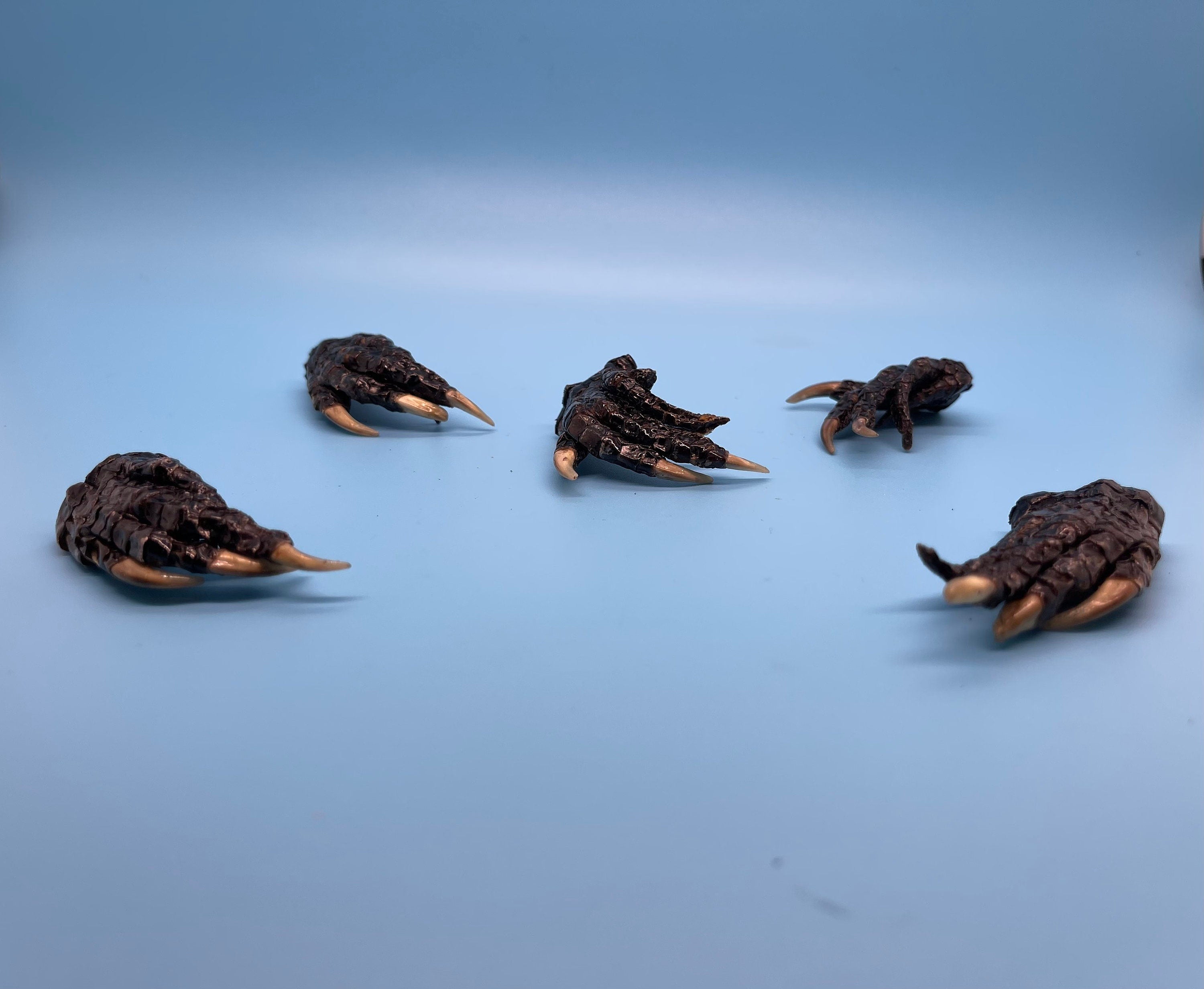 Five Small Alligator Feet