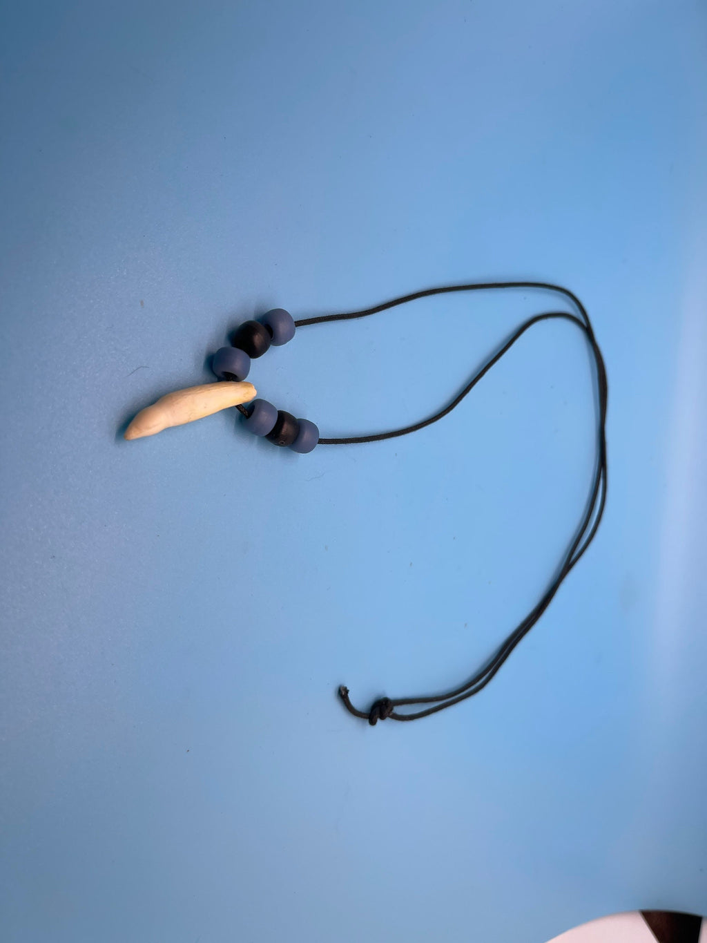 Alligator Tooth Necklace