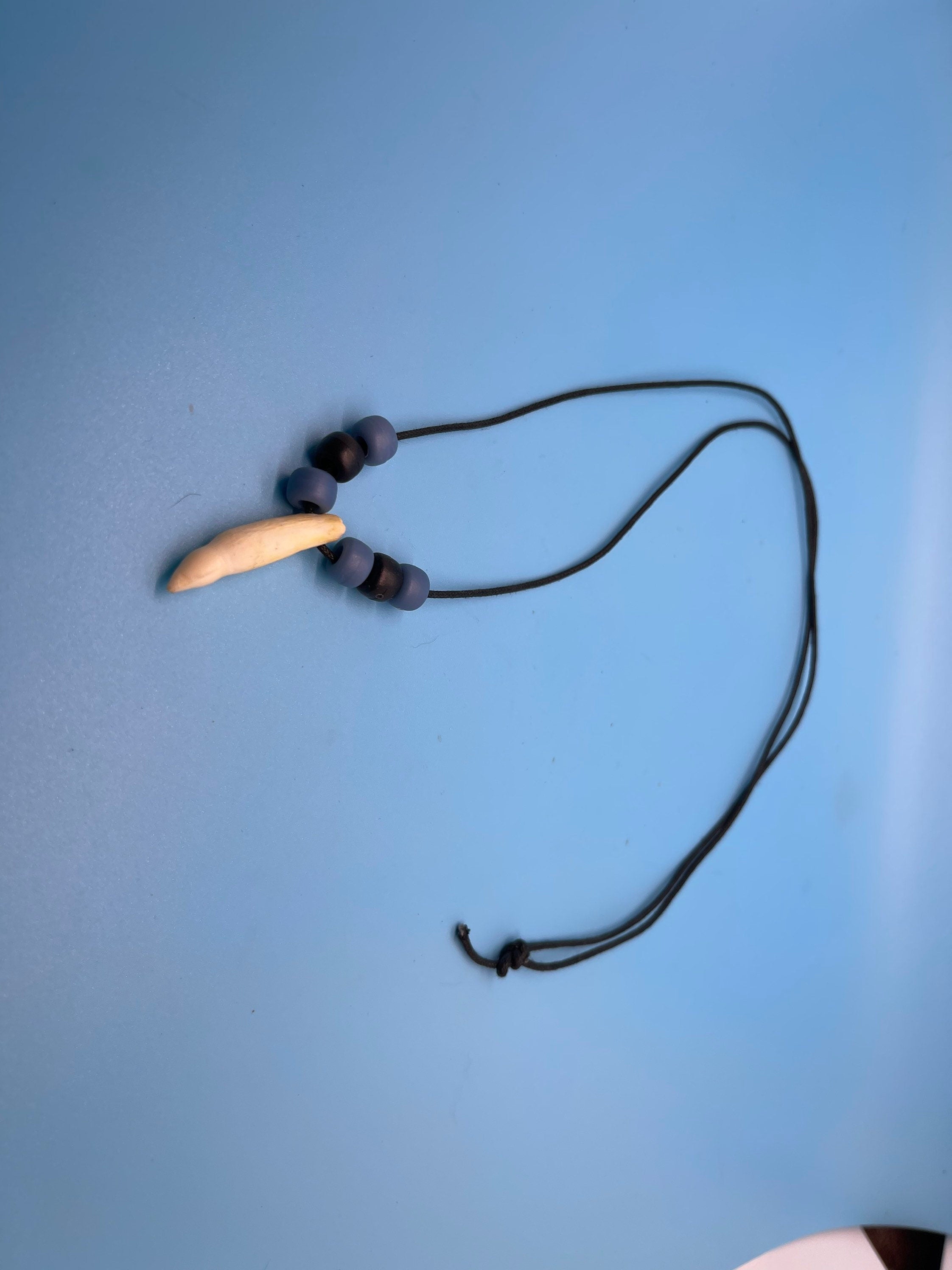 Alligator Tooth Necklace