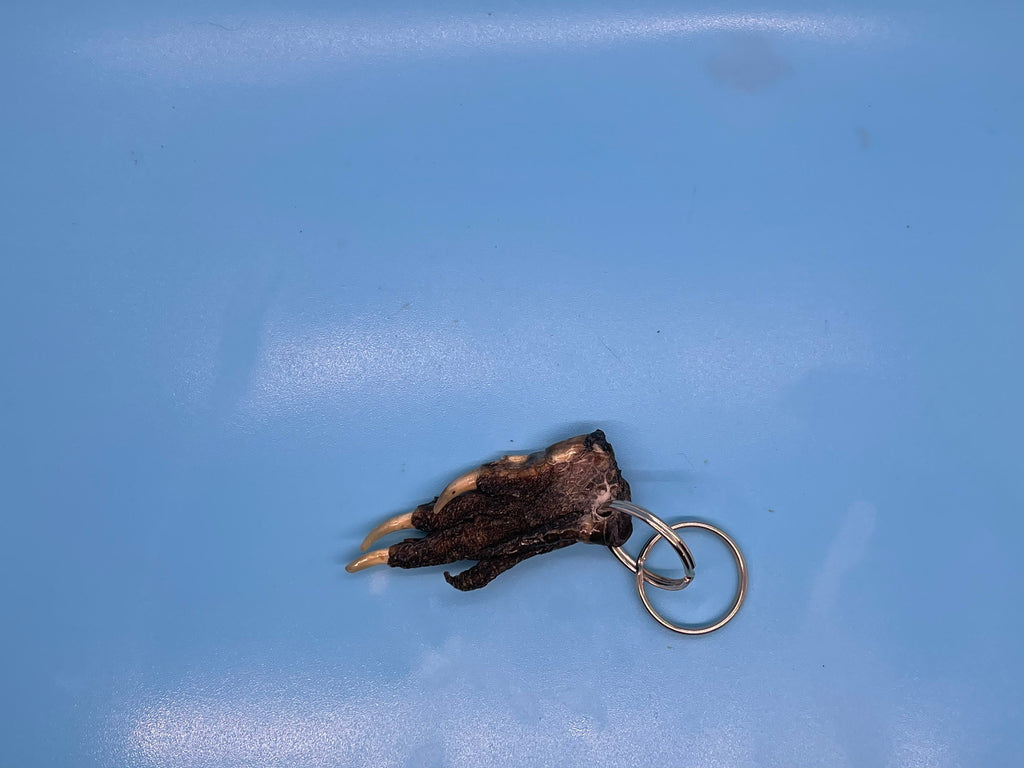 Alligator Foot Keychain Small