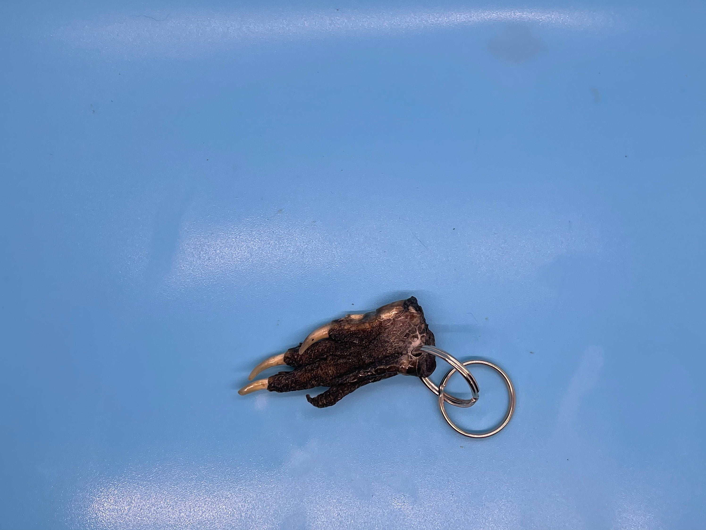 Alligator Foot Keychain Small