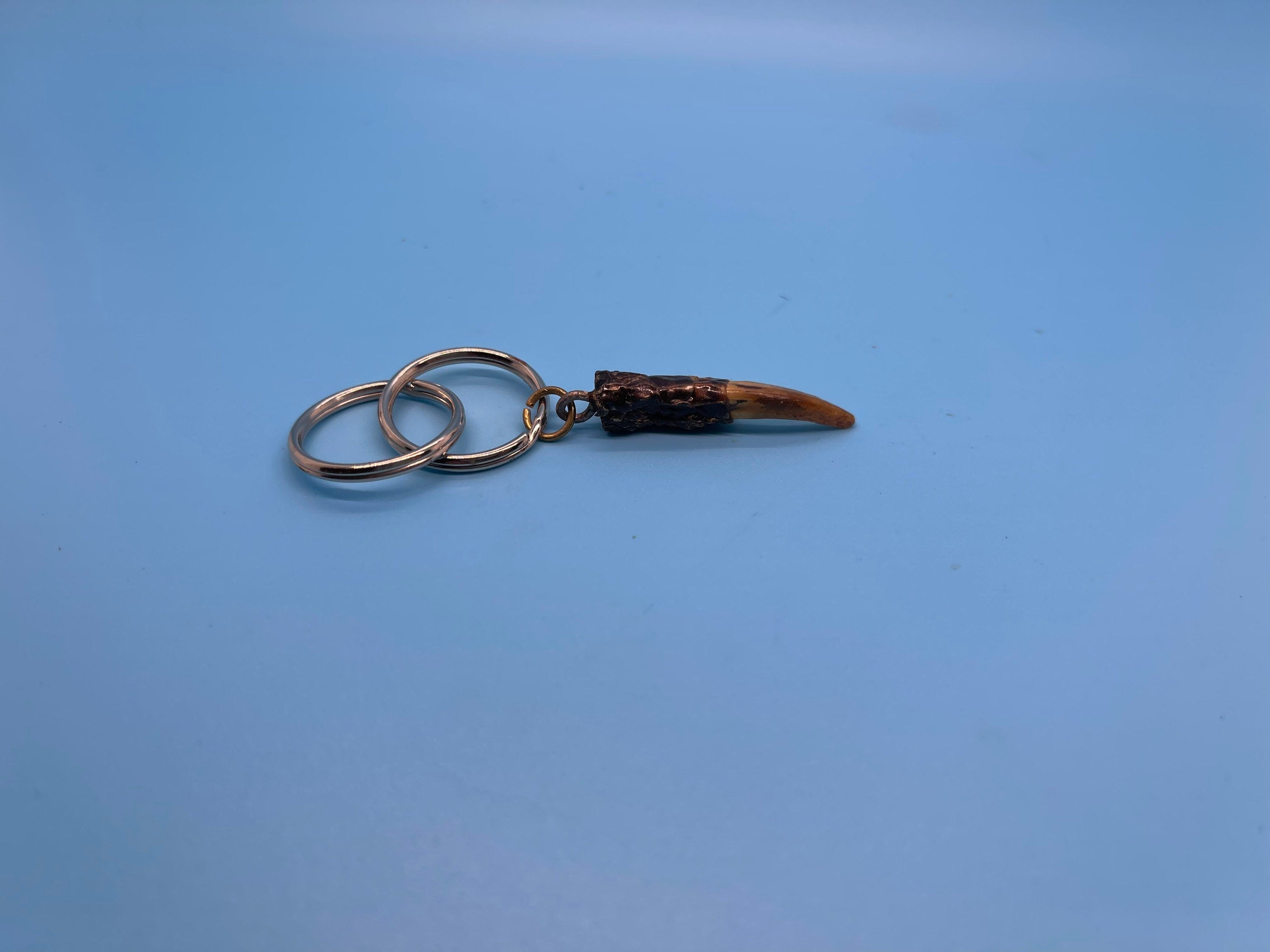 Alligator Toe Keychain