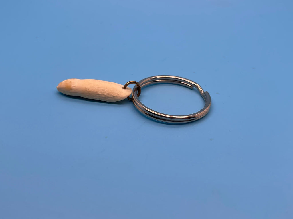Alligator Tooth Keychain