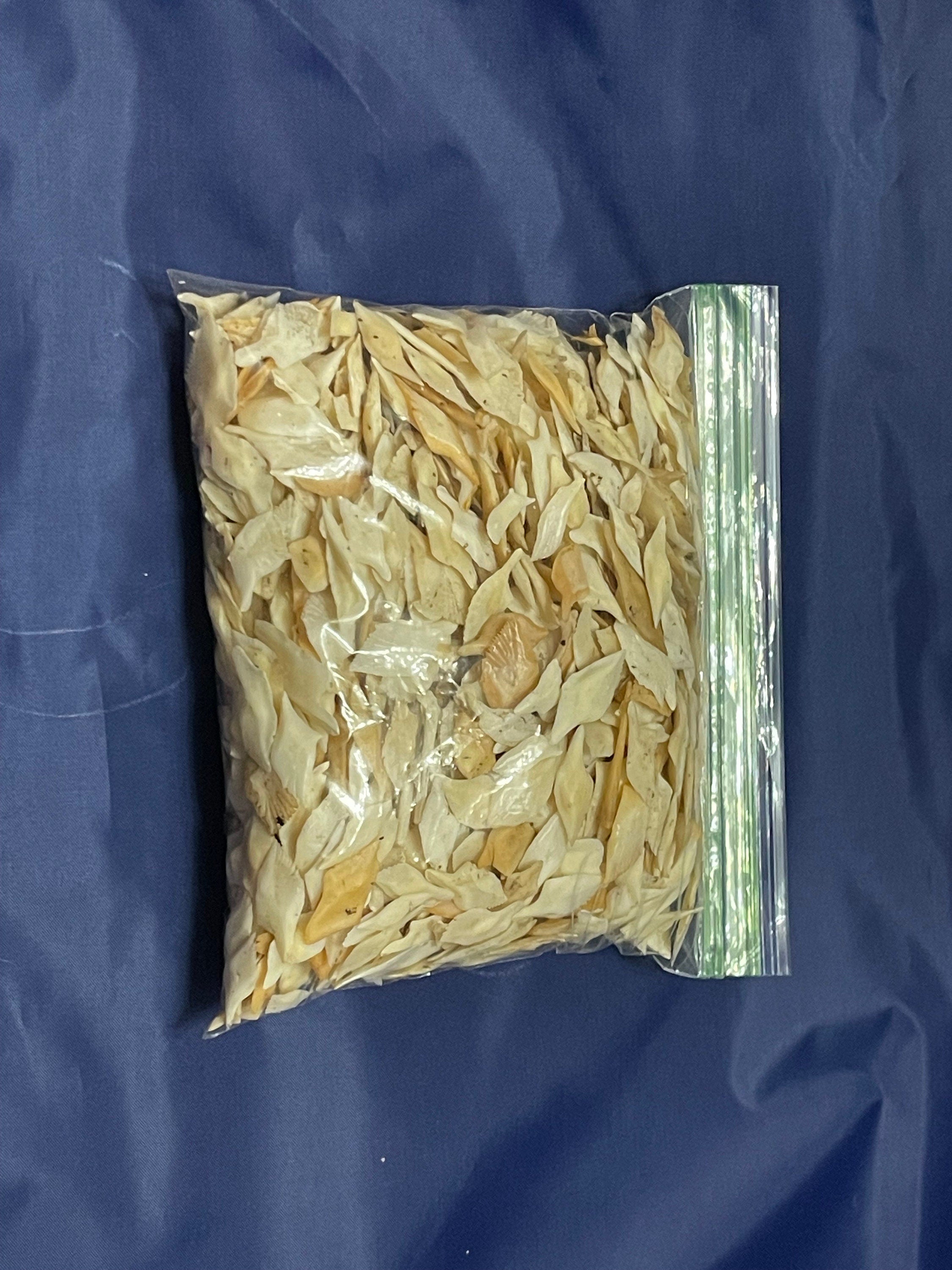 Alligator Gar Scales 1 Pound Bag For Crafts And Jewelry Making