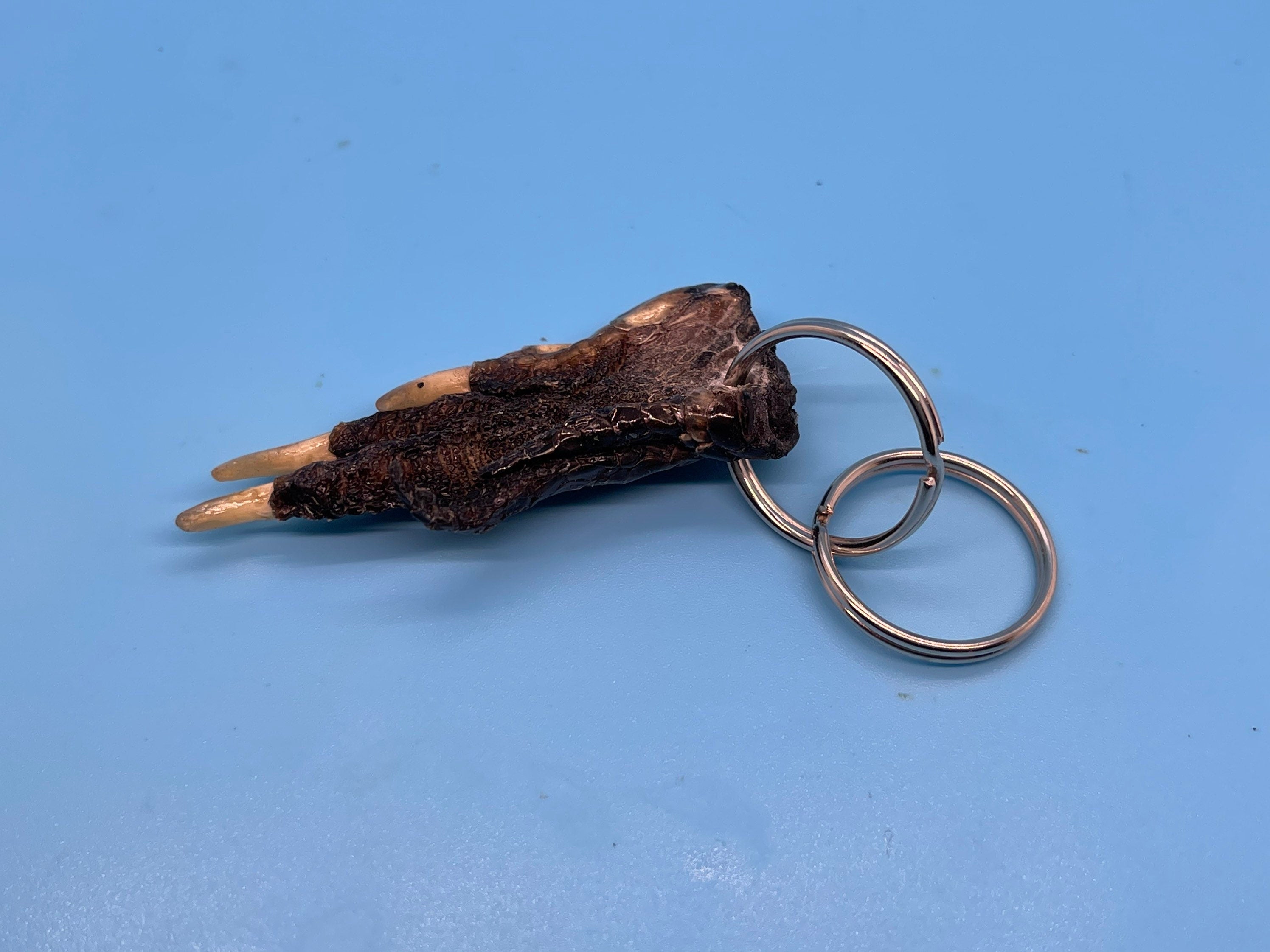 Alligator Foot Keychain Small