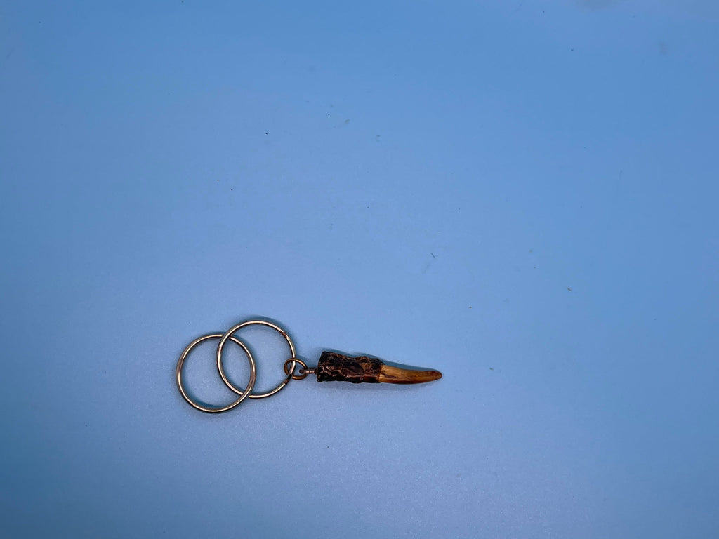 Alligator Toe Keychain