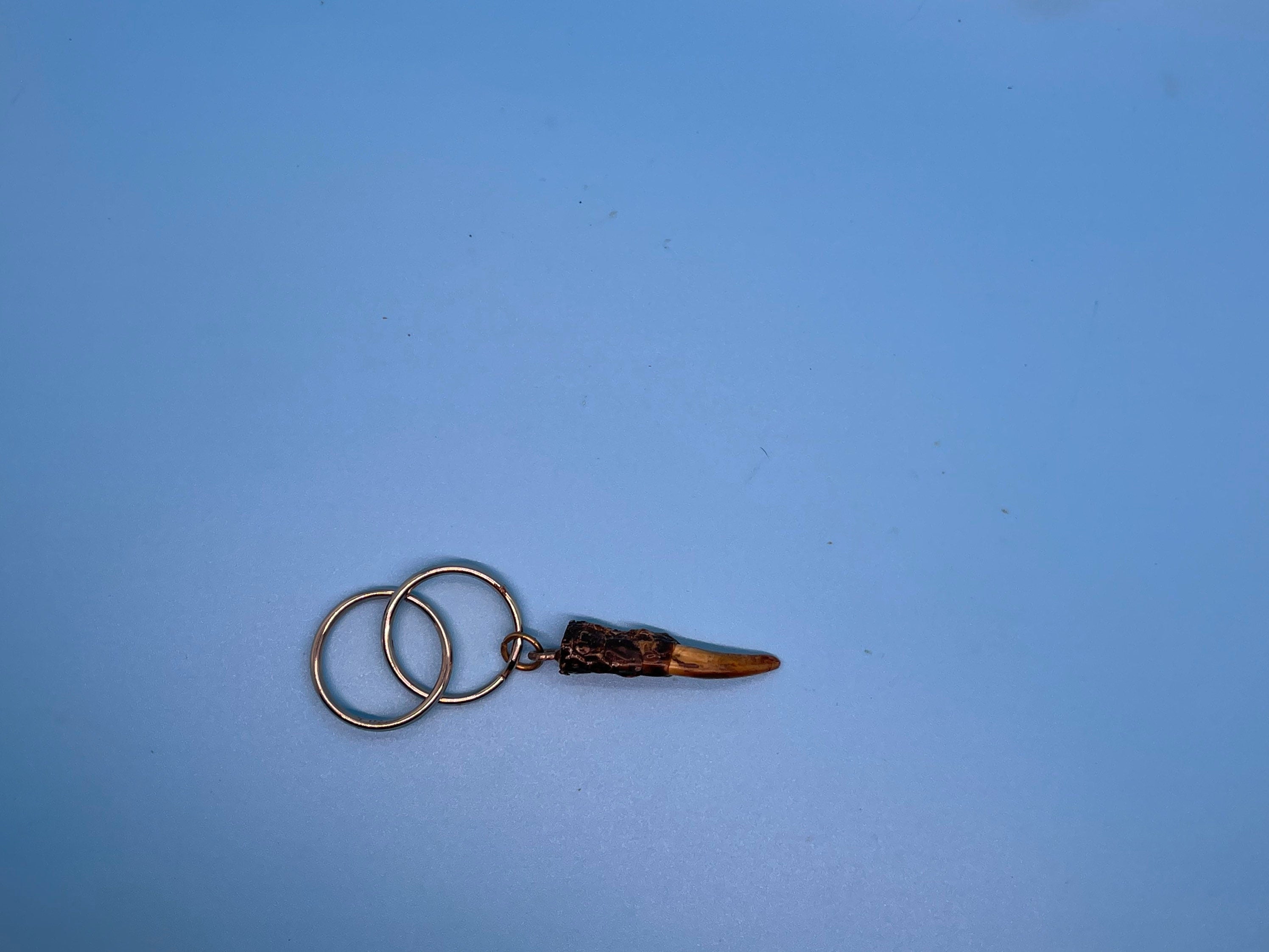 Alligator Toe Keychain