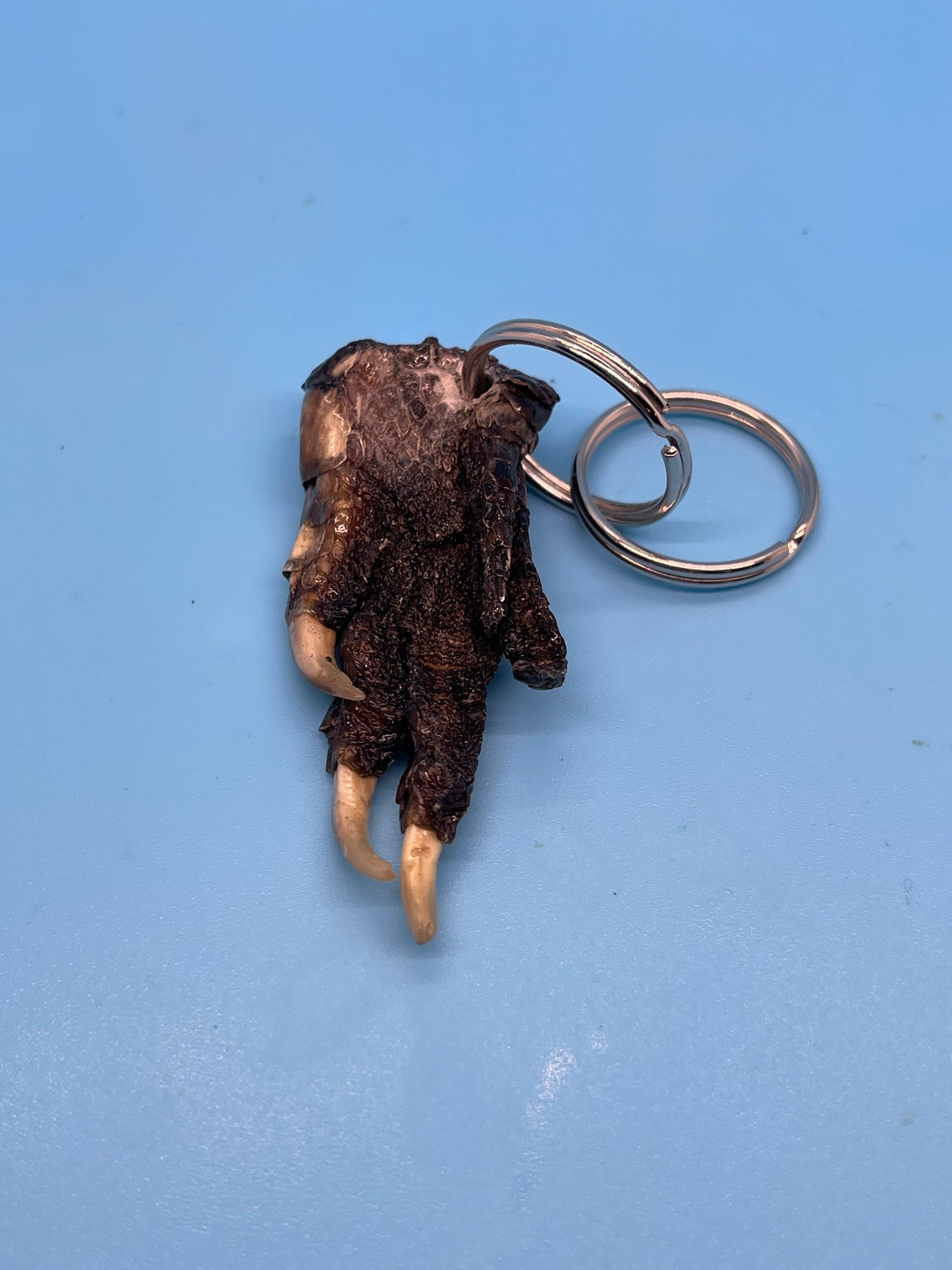 Alligator Foot Keychain Small