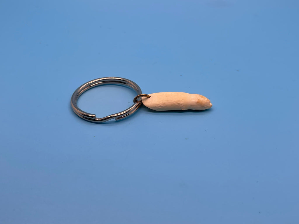 Alligator Tooth Keychain