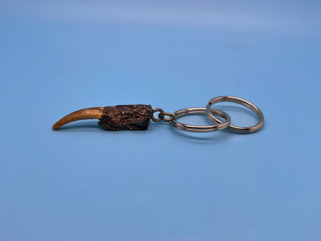 Alligator Toe Keychain