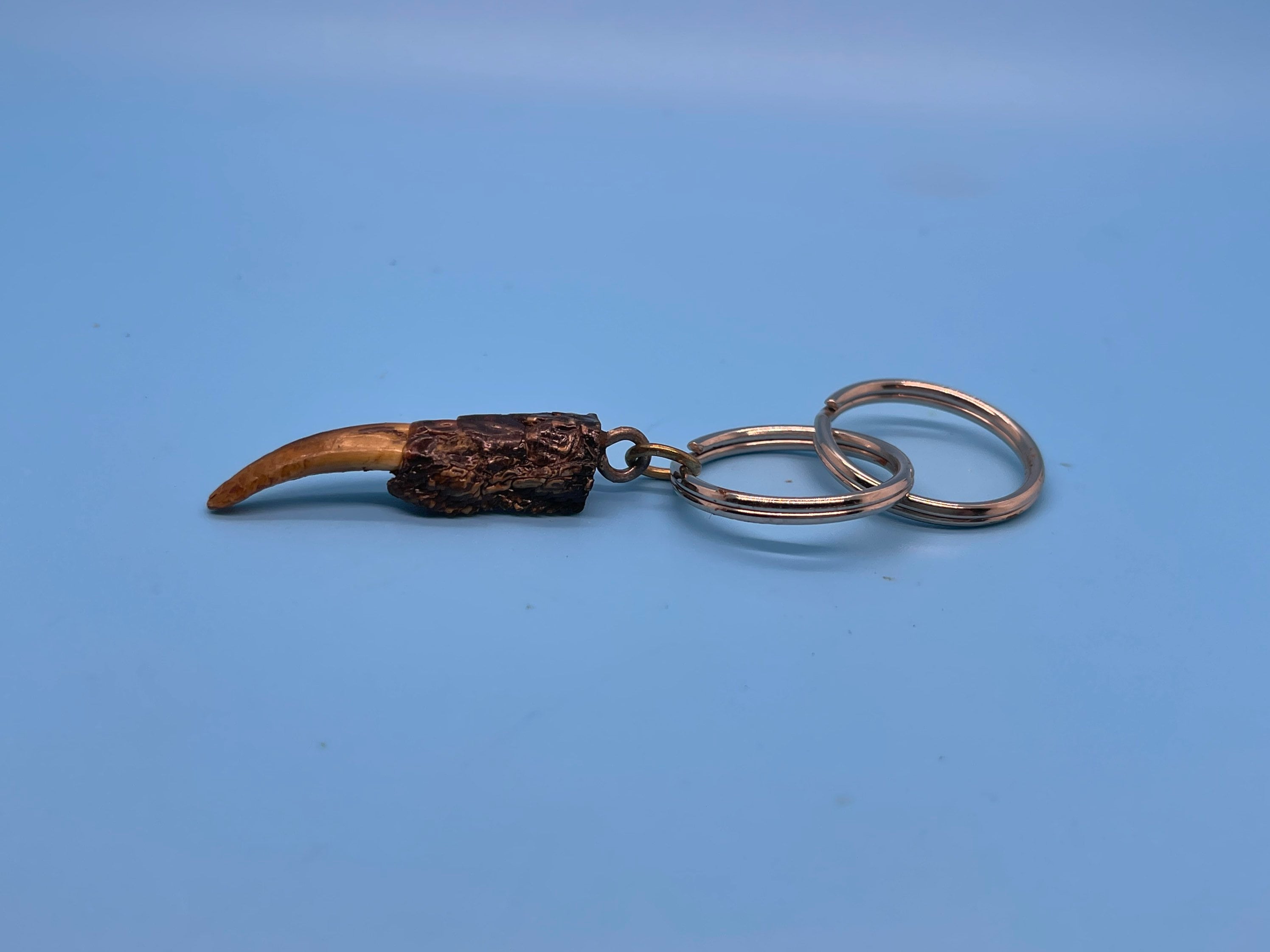 Alligator Toe Keychain