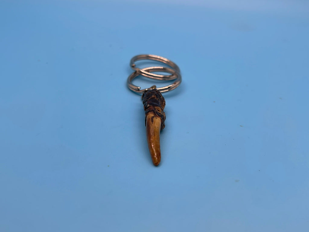 Alligator Toe Keychain