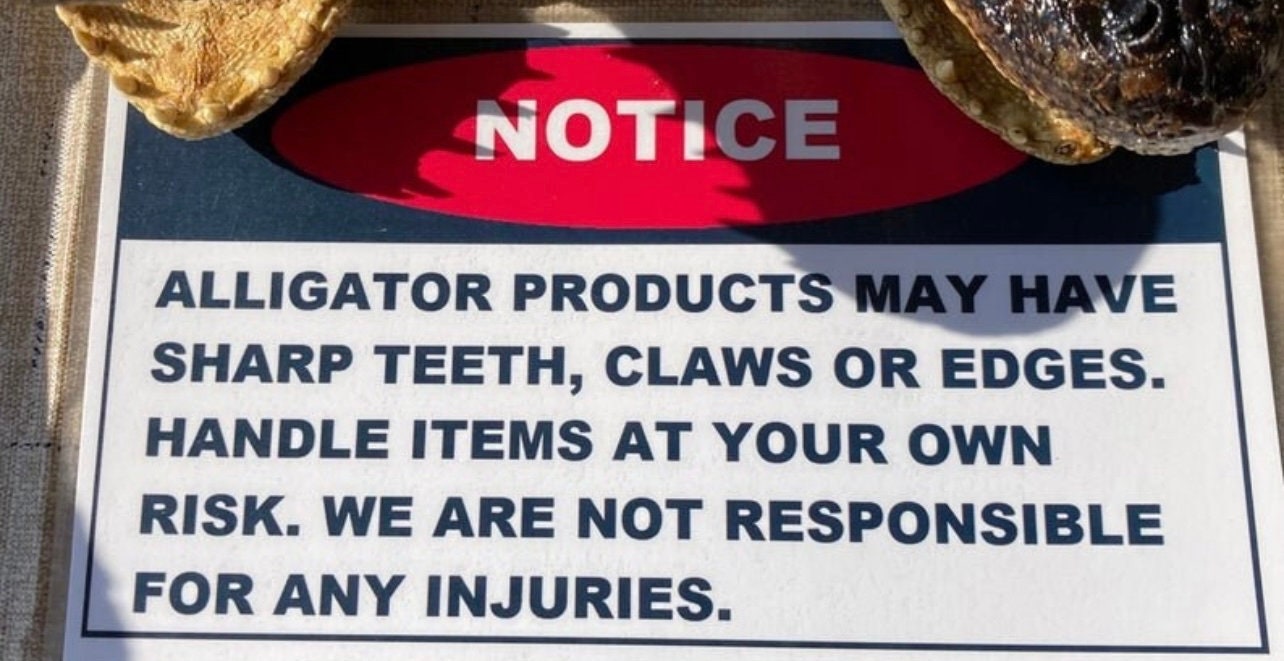 Alligator Gar Scales 1 Pound Bag For Crafts And Jewelry Making