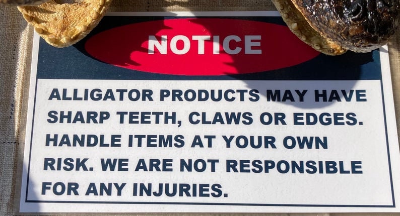 Five Medium Alligator Feet